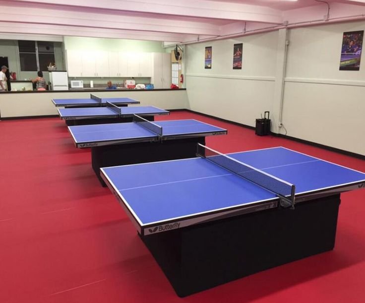 Table Tennis Tables